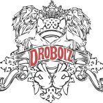 DROBOIZ LOGO
