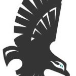UNCW SOARING SEAHAWK BLACK LOGO