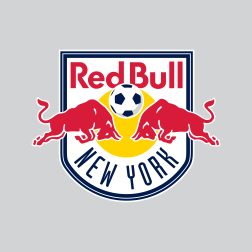 1. NY RED BULLS TEAM BADGE